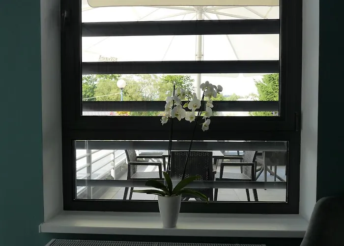 Stronie Stronie Śląskie