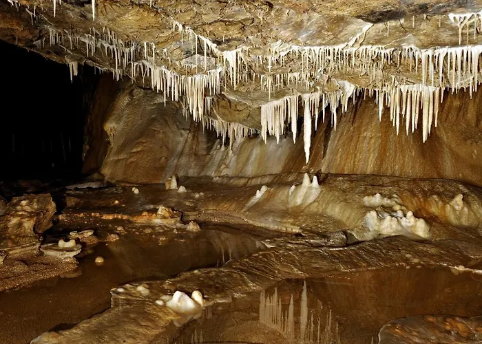 Stronie ホテル Stronie Śląskie